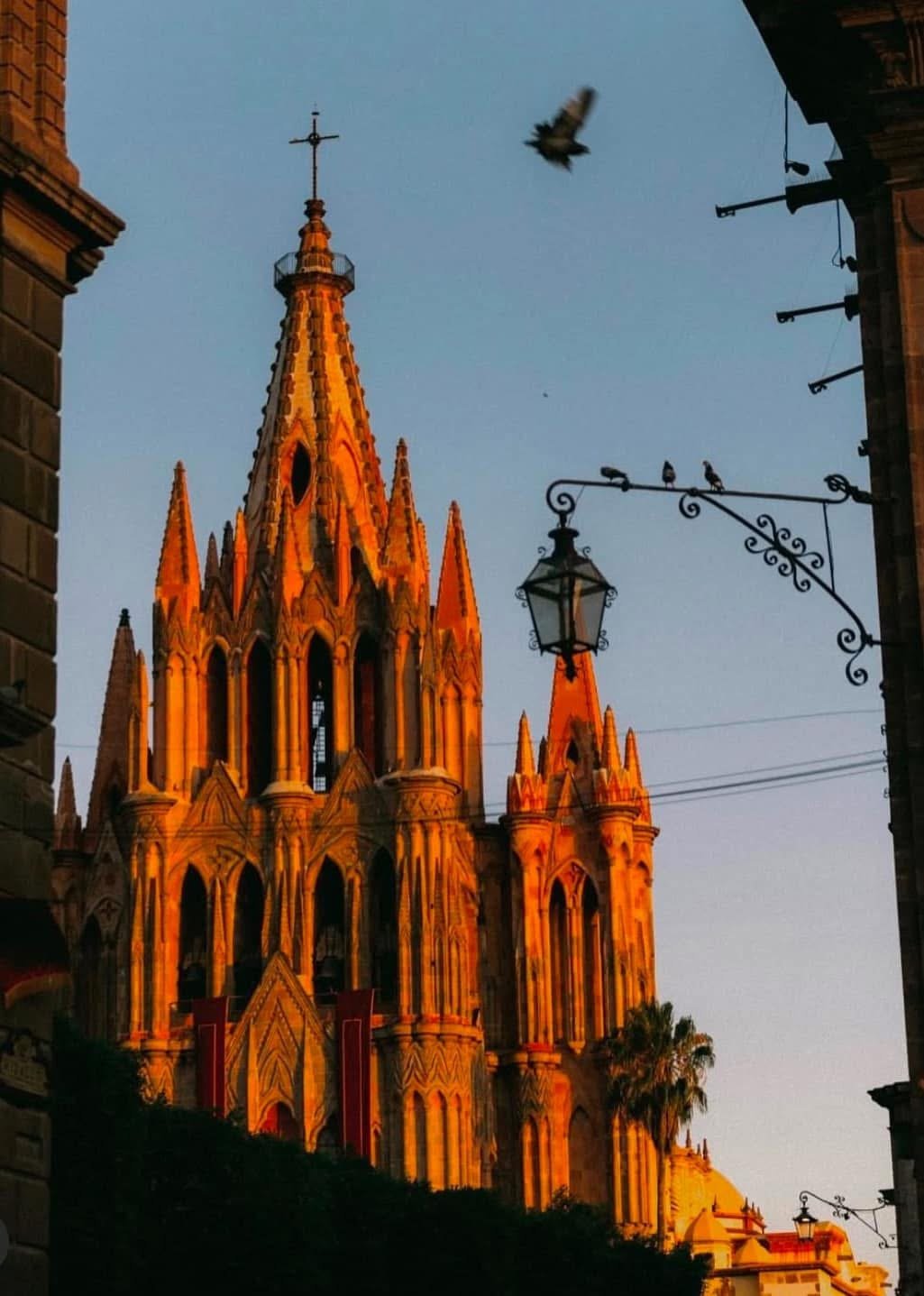 Equipo de Viajes en Oferta en oficina